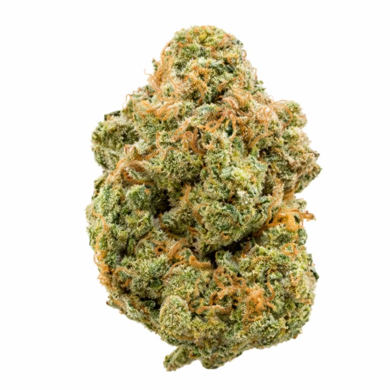 Bloos Kloos Cannabis Bud