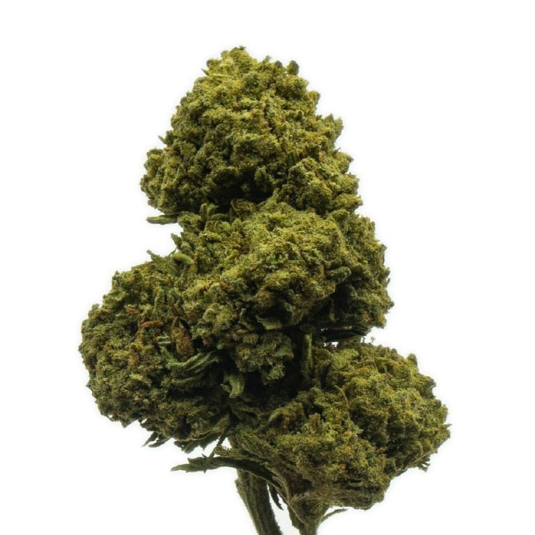 Blue Dragon Cannabis Bud