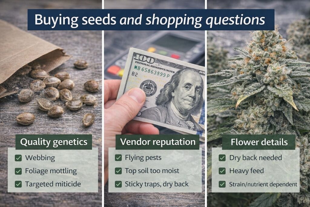 where to buy AK Cannabis Strain seeds