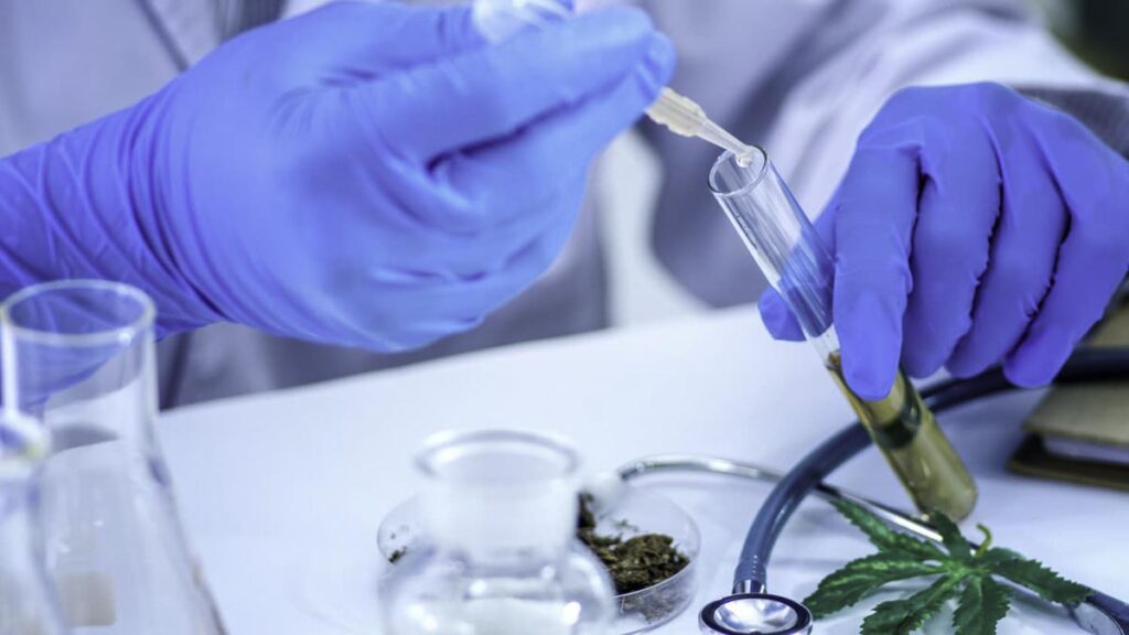 CBD dosing for anxiety mg