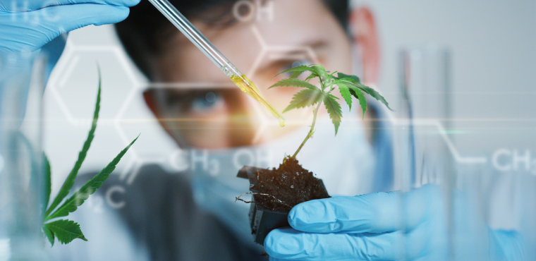 CBDiesel Medical Only Use and Ensuring THC Monitoring for Patient Safety