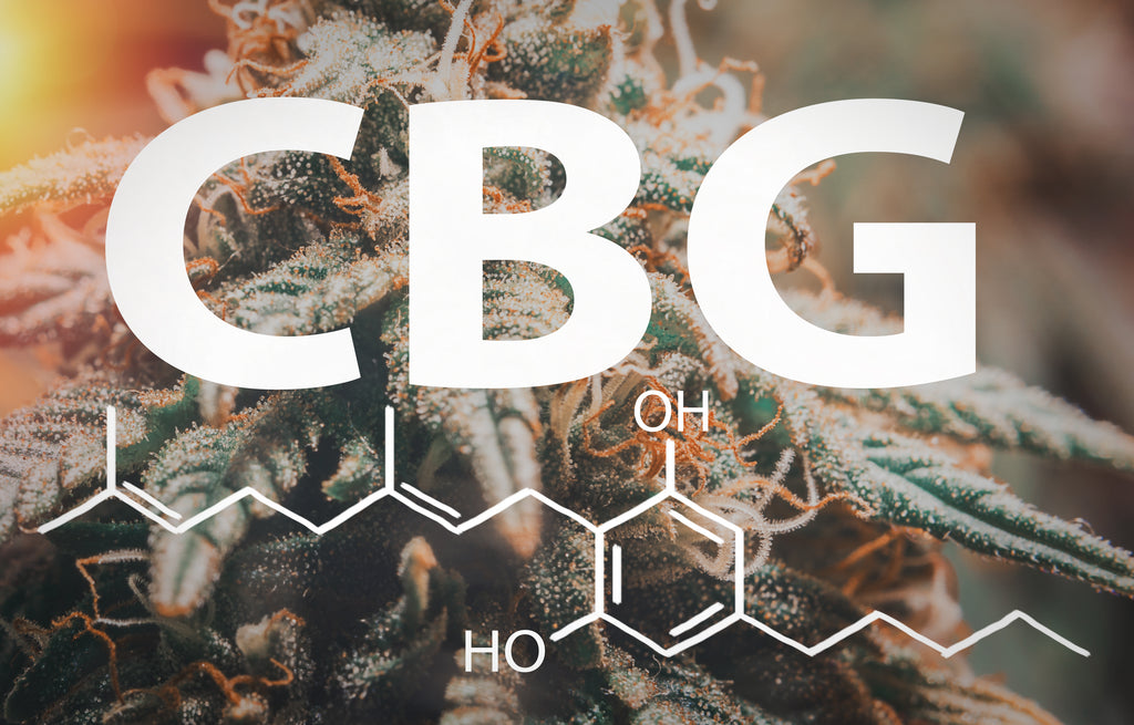 CBG The Mother Cannabinoid with Broad Potential 1