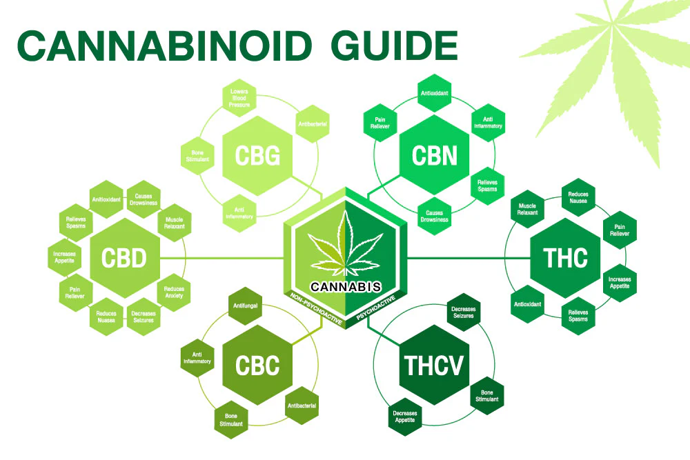 Cannabinoid Guide