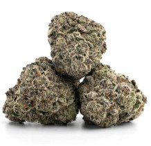 Cannabis Seeds That Perform Well in Greenhouses f