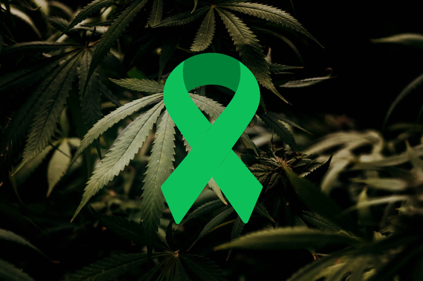 Cannabis Strains for Cerebral Palsy