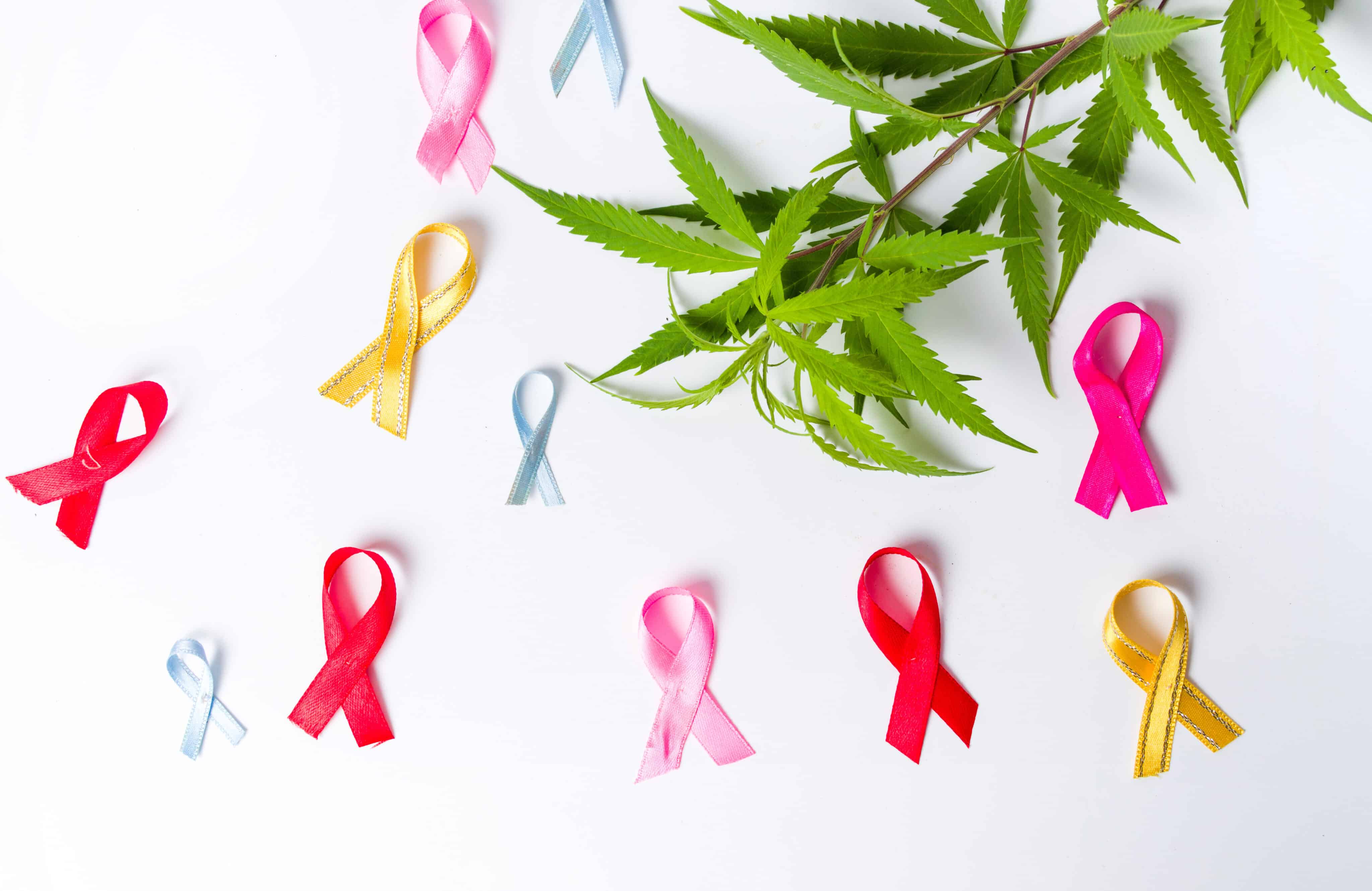 Cannabis and Cancer