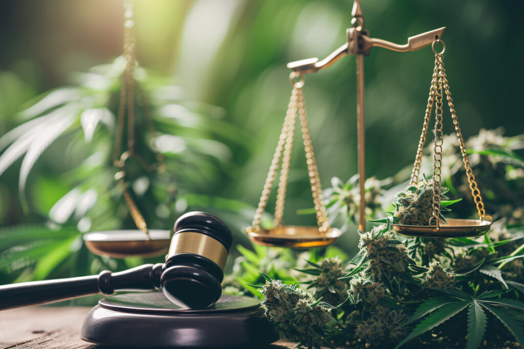 Legislation and Medical Guidelines