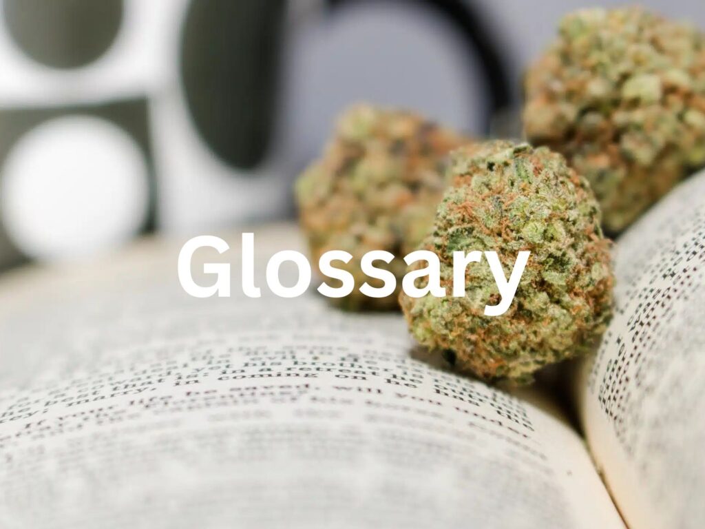 Glossary of cannabis terms with marijuana buds on an open book