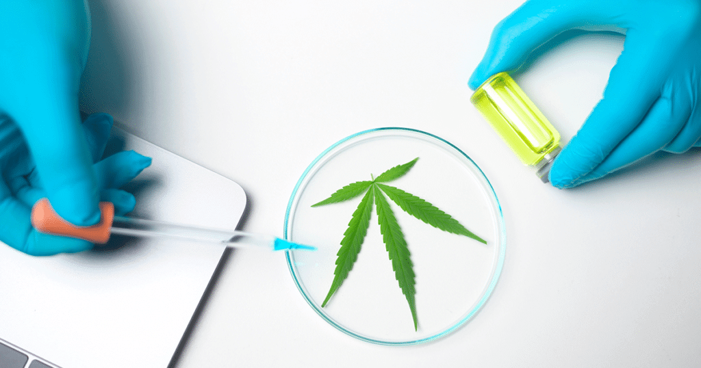 Chemical Profile of Lemon Cream Diesel