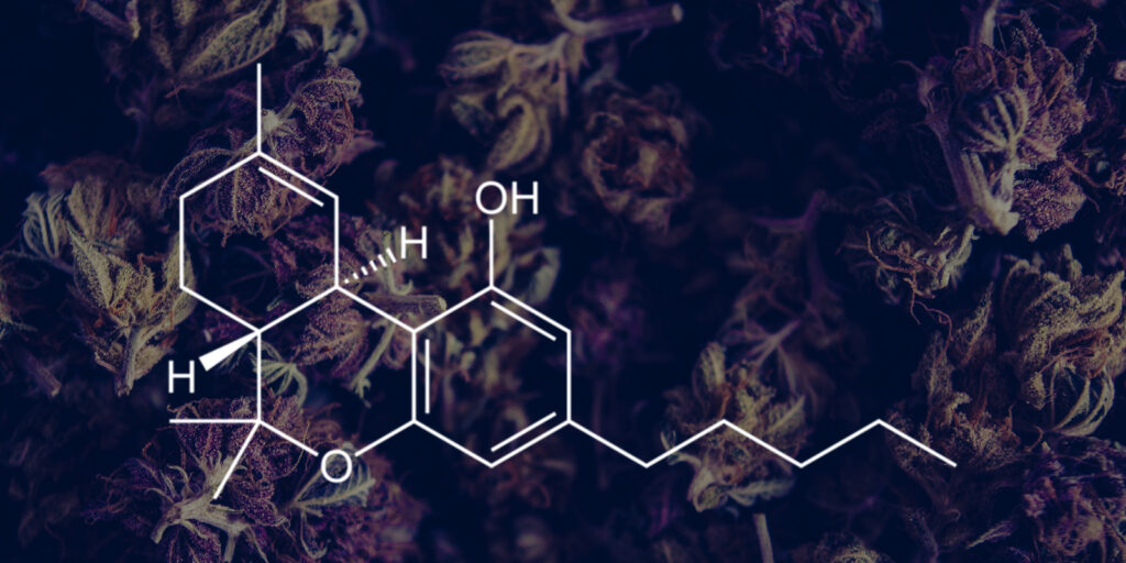 Chemical Profile of Mint Frost CBD