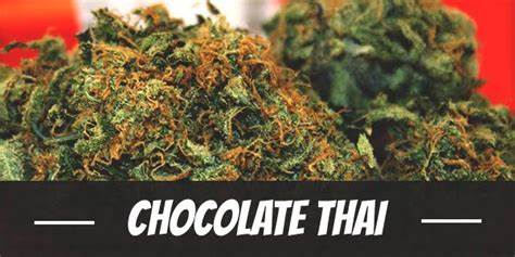 Chocolate Thai