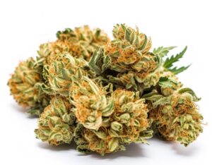 Clementine strain trichomes