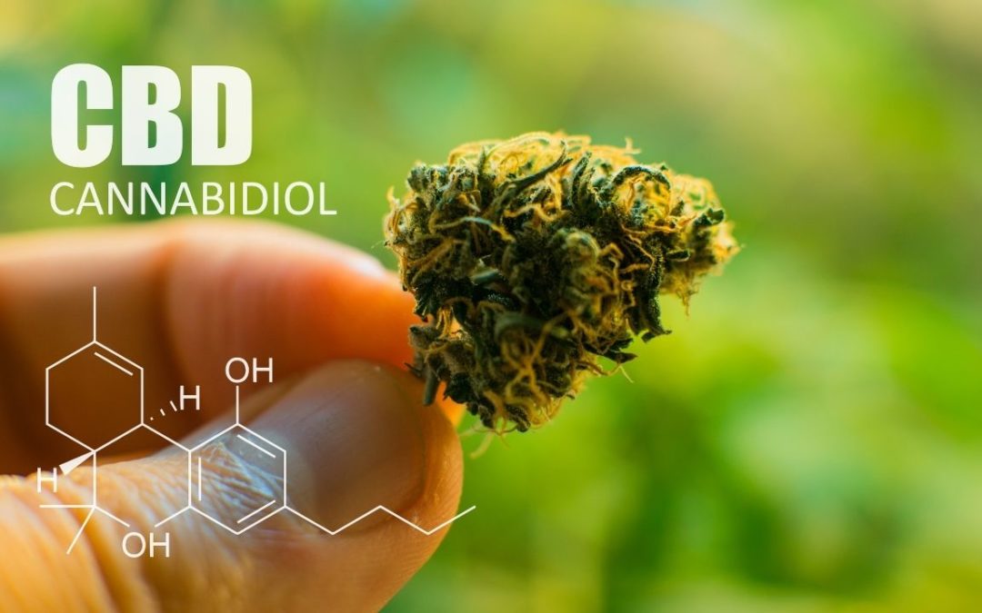 Comment fonctionne le cannabidiol 1080x675 1