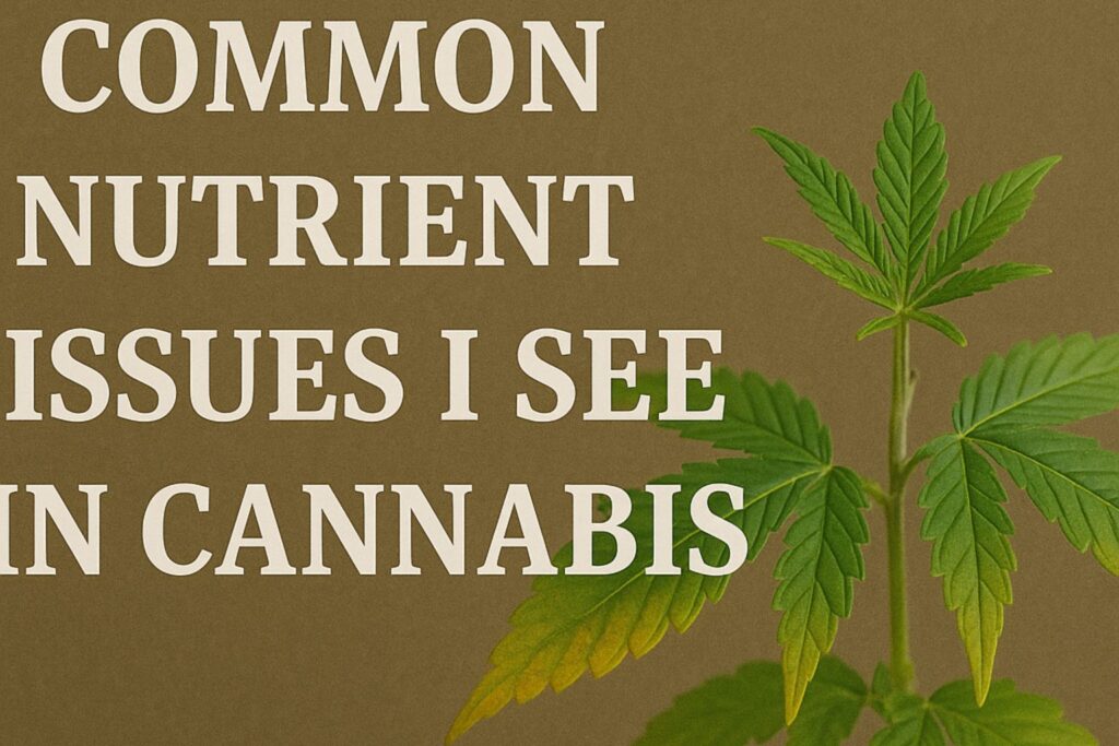 preventing cannabis nutrient stress