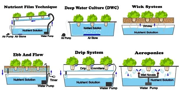 Comparing Drip Irrigation to Other Hydroponic Techniques