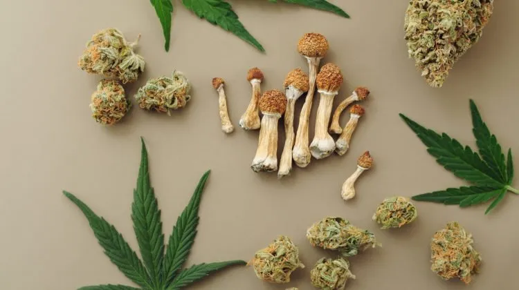 Comparisons in Therapeutic Scope