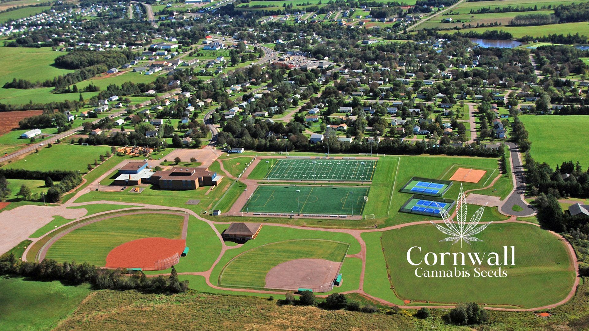 Buy Cannabis Seeds in Cornwall