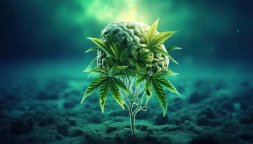 Dance World recreational