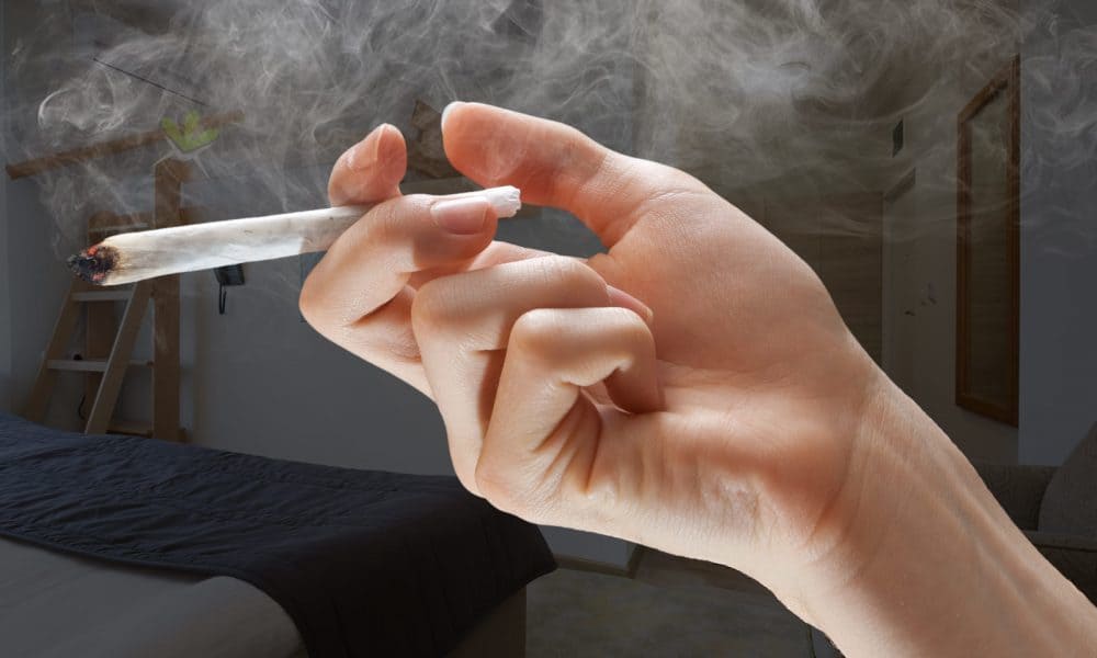 Diverse Cannabis Usage Patterns Across Age Groups in Oshawa