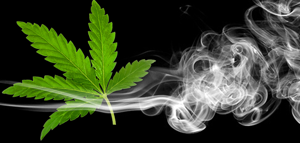 Cannabis and Nicotine