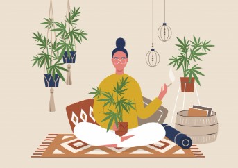 Dogwalker OG relaxation