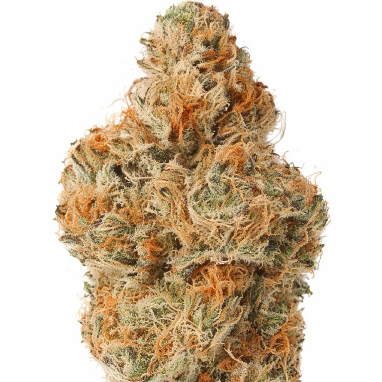 Dragon’s Breath Cannabis Seeds - Image 3