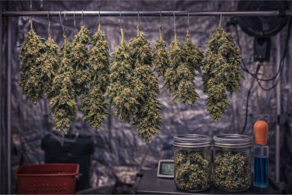 drying and curing checklist