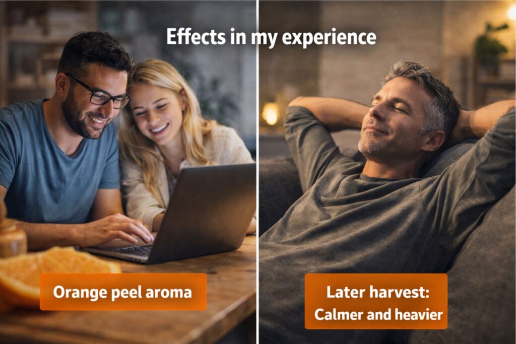 Effects in my experience