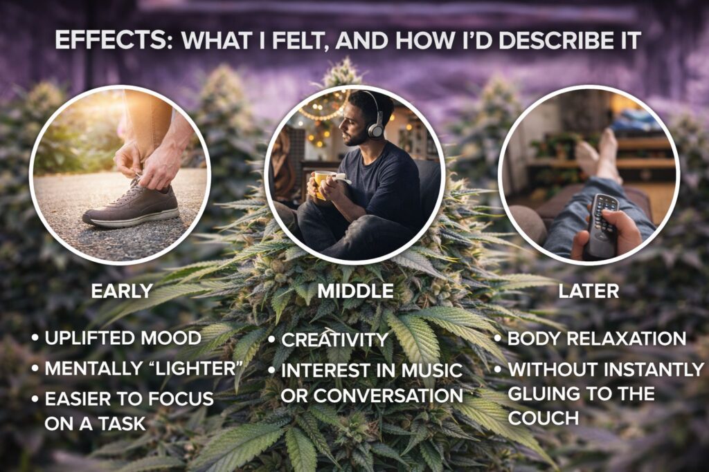 alien rift effects guide