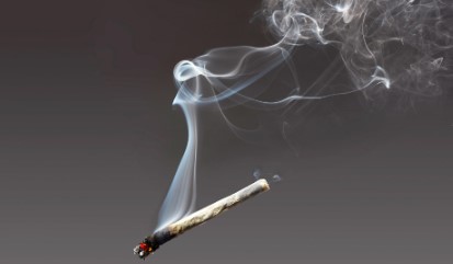 Exodus Cheese smoking