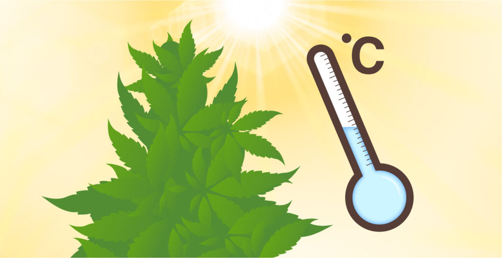 Exposing Your Plants to Excessive Heat2