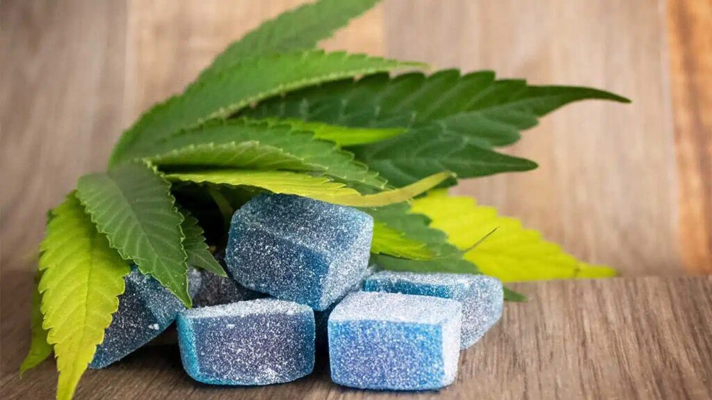 Factors Influencing the Longevity of Edibles