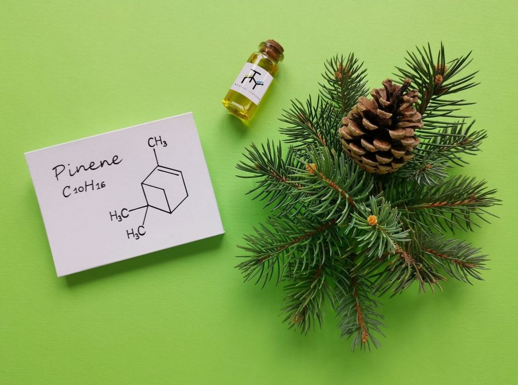 Featured Terpene Pinene 1024x762 1