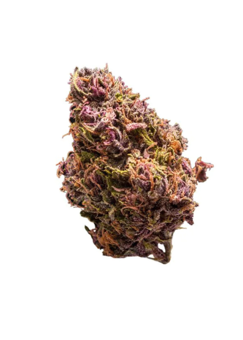 Freezeland Cannabis Seeds - Image 2