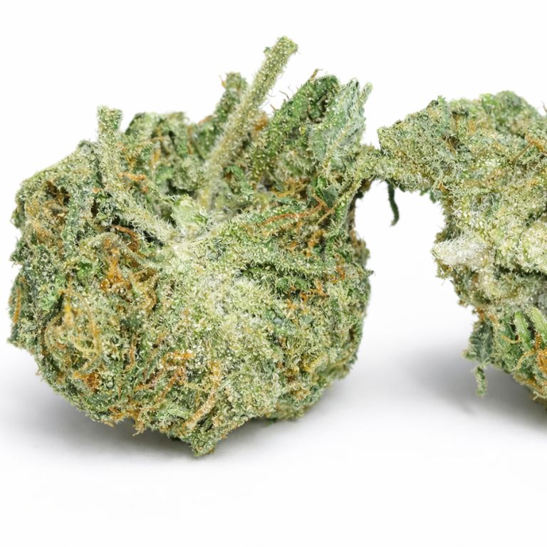 Fucking Incredible Cannabis Bud