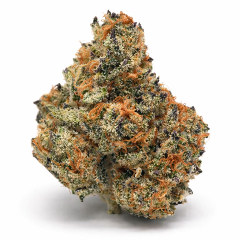 Gorilla Nut Cannabis Bud