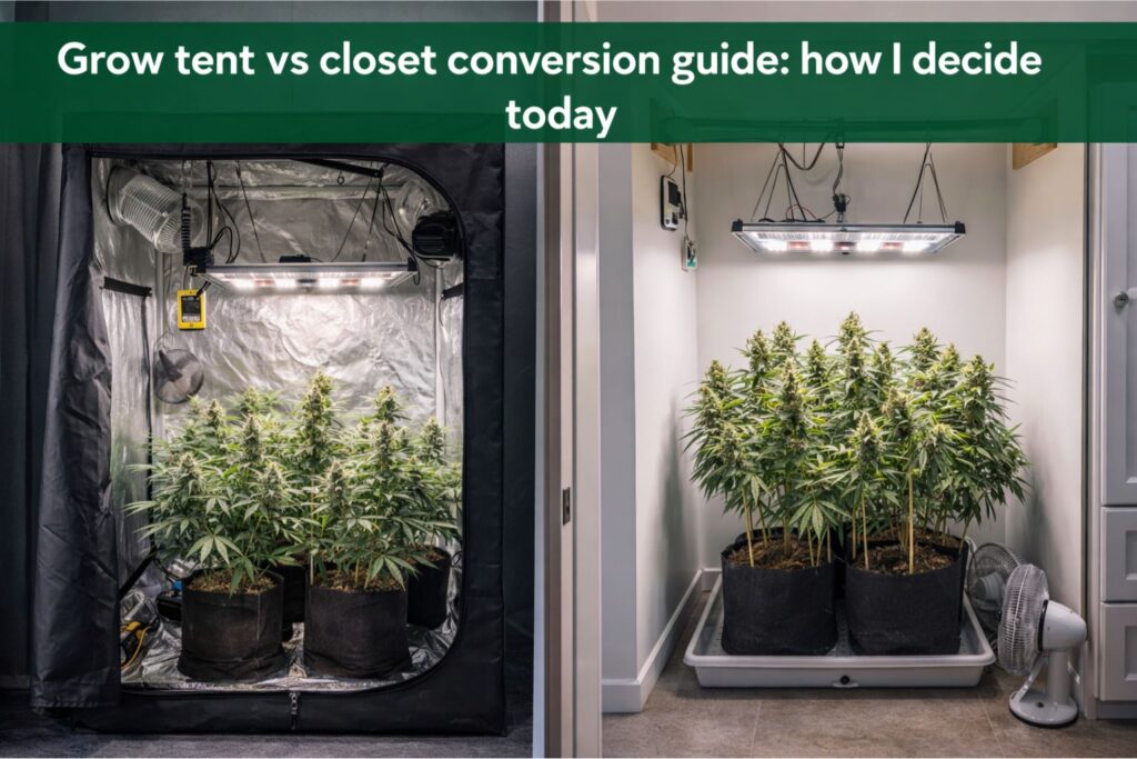 grow tent vs closet conversion guide