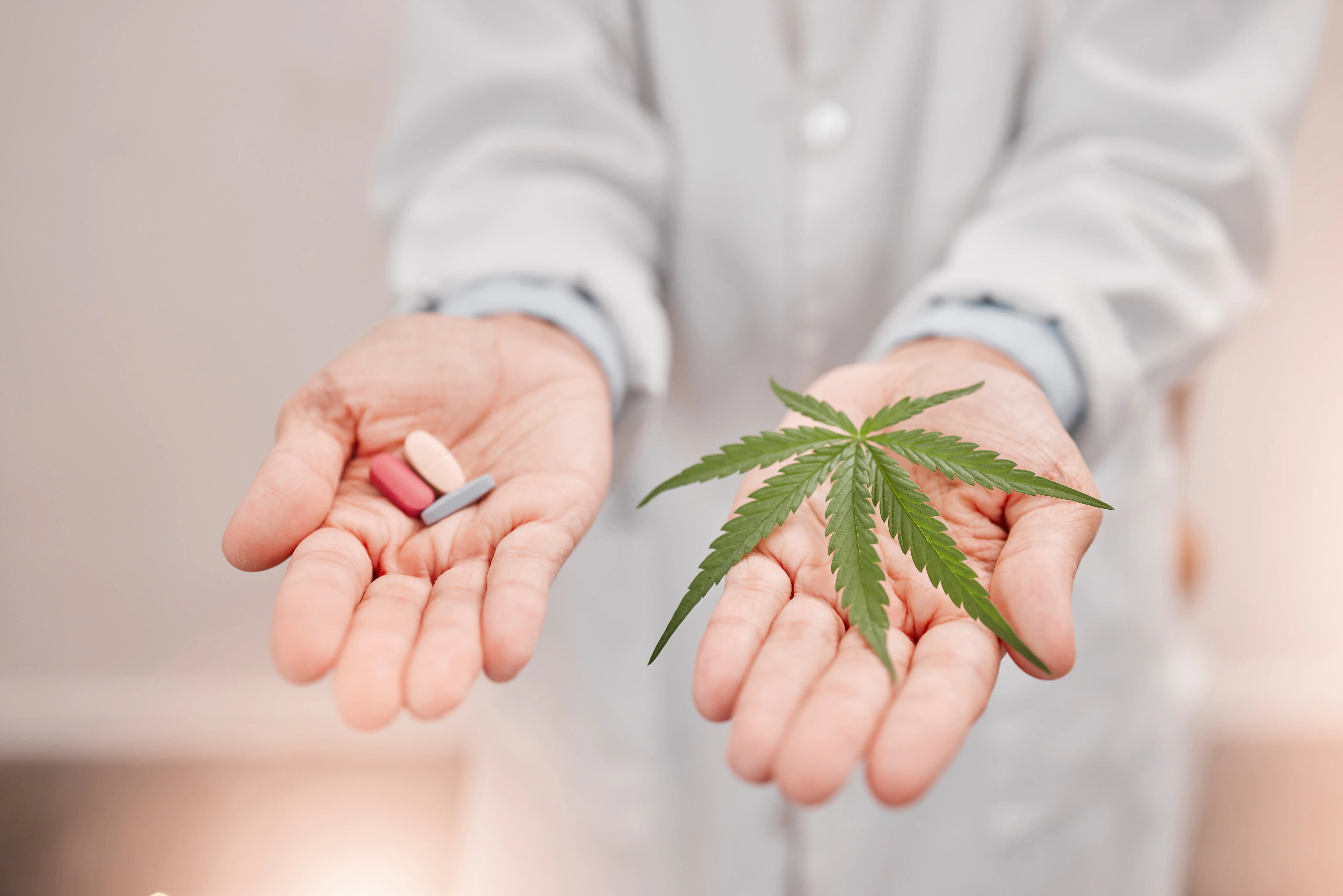 Guide to Cannabidiol CBD for Opioid Withdrawal