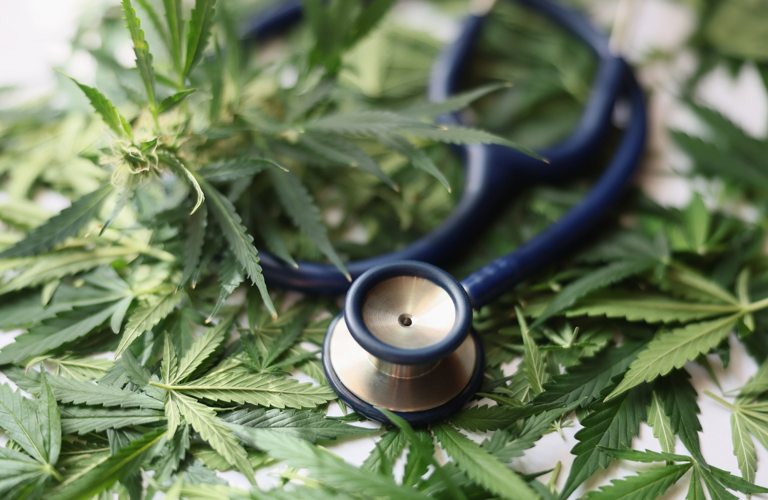 Health Benefits of Cannabis in Gatineau