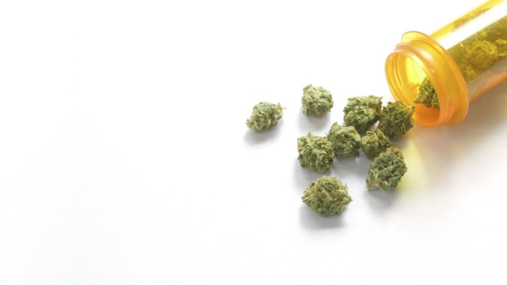 Health Benefits of Cannabis in Manchester 1