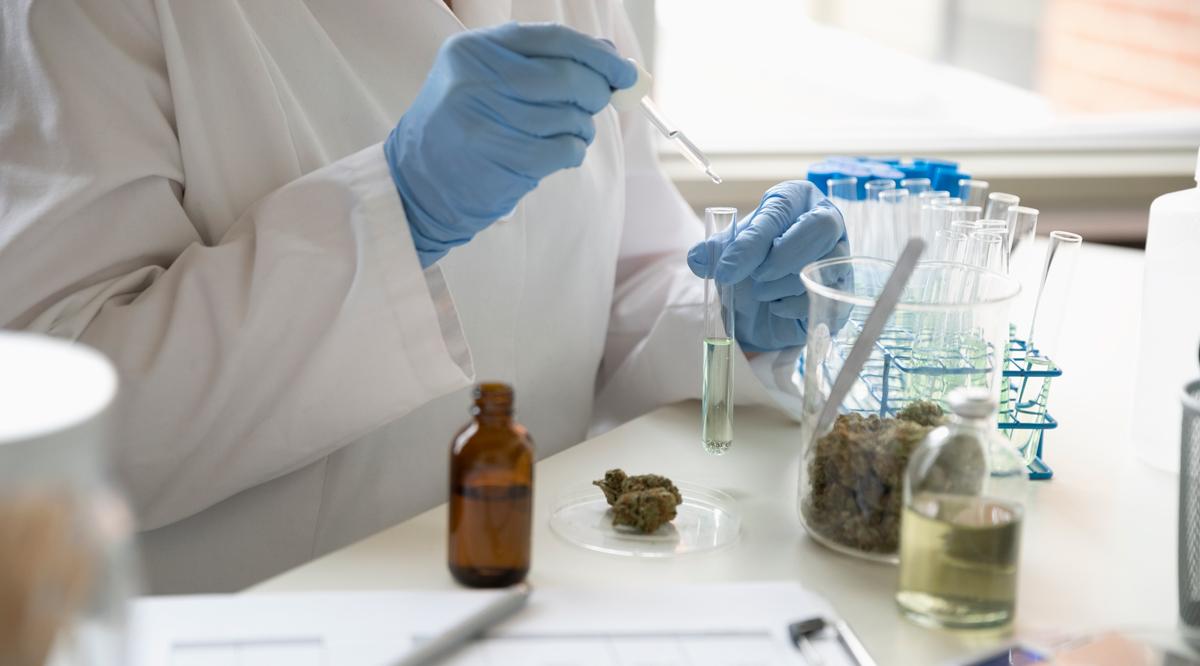 Health Benefits of Cannabis in Saint Jean sur Richelieu