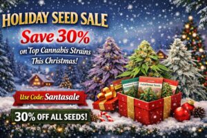 Holiday Seed Sale