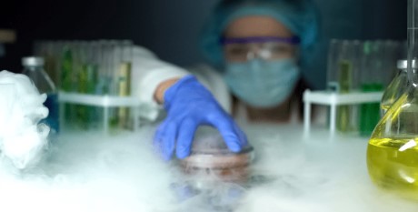 How to Choose Cannabis Seeds Based on Growing Experience e