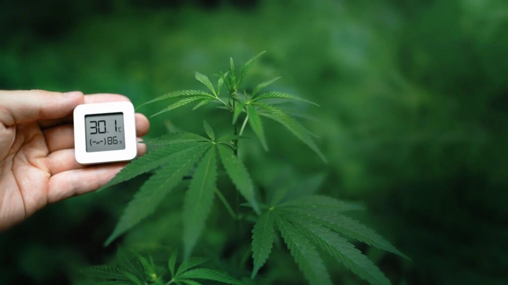 Indoor vs. Outdoor Temperature Considerations