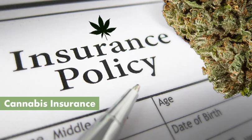 Insurance Coverage A Critical Gap for Medical Cannabis