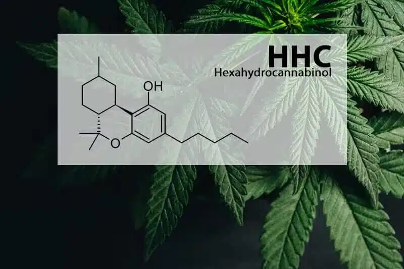 Is Hexahydrocannabinol Natural or Synthetic