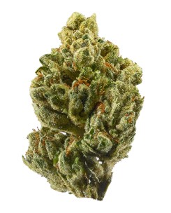 Is OG kush a sativa or indica