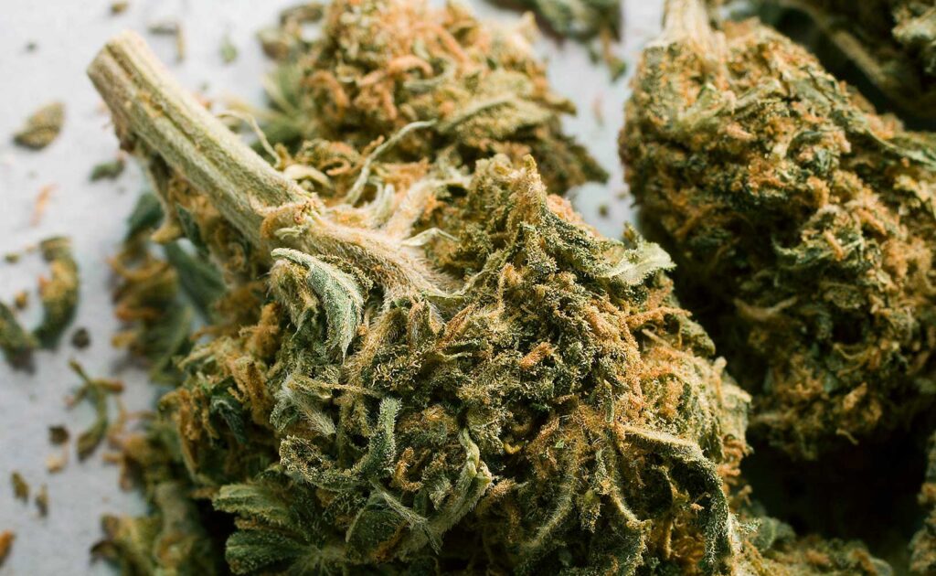 Is Sinsemilla Stronger