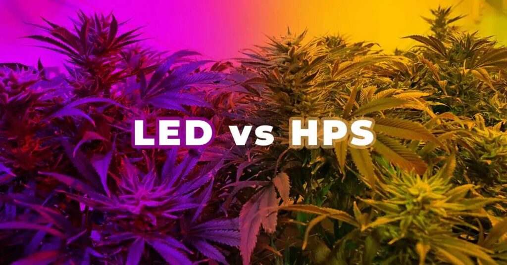 LED vs. HPS