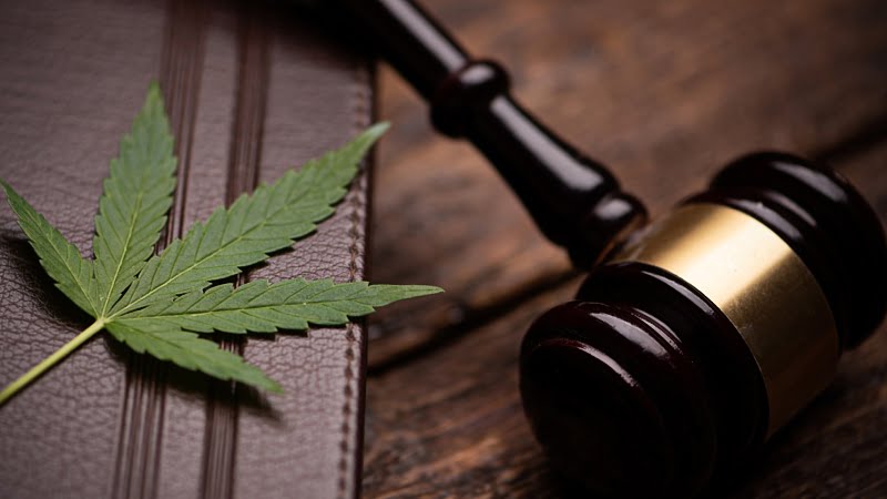 Legalization CBD Full Spectrum